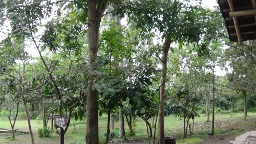 DSC00034